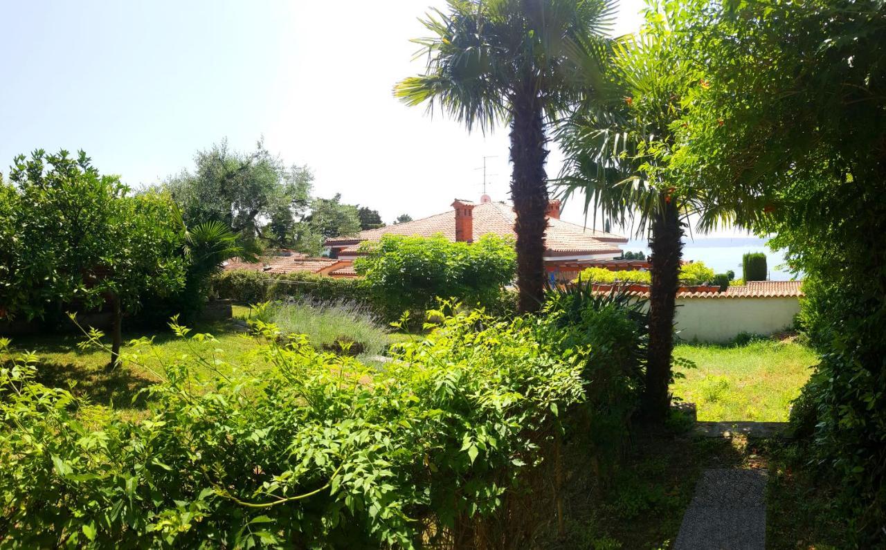 Carolina Appartement